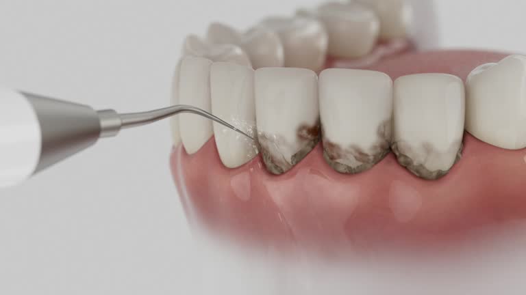 Reliable Dental contractor in Red Lick, TX by Dentist Open Now
